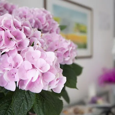 Carillon 3* Bellaria-Igea Marina