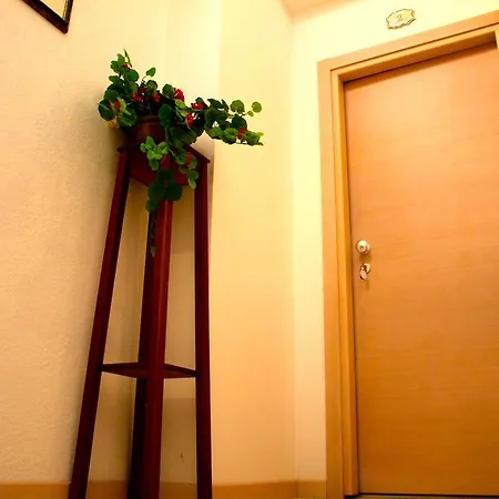 Carillon 벨레지아아지마리나