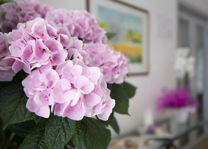 Carillon 3* Bellaria-Igea Marina